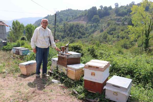 Zonguldak'ta bal üretimi 300 tondan 30 tona düştü