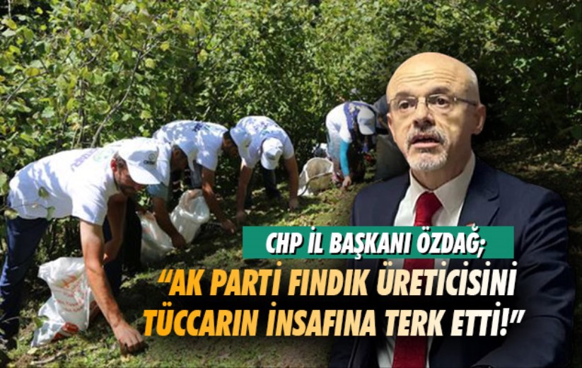 CHP İl Başkanı Özdağ; 'AK Parti Fındık Üreticisini Tüccarın İnsafına Terk Etti!'