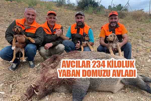 Avcılar 234 kiloluk yaban domuzu avladı