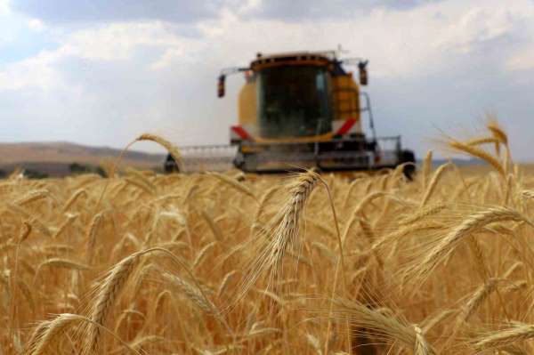 ÇKS başvuruları 1 Eylül'de başlıyor