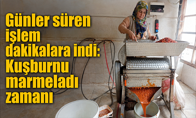 Günler süren işlem dakikalara indi: Kuşburnu marmeladı zamanı