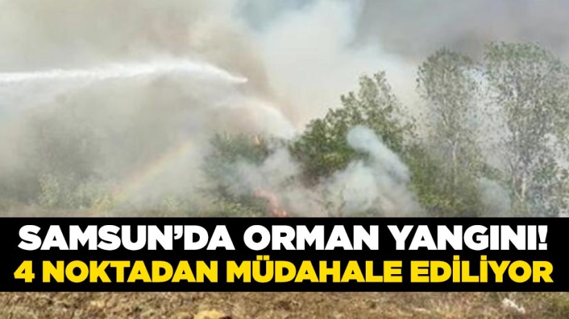 Samsun'da orman yangını! 4 noktadan müdahale ediliyor