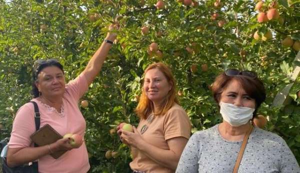 Rus turistler Eğirdir'de elma hasadı turuna katıldı 