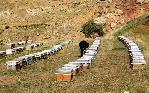 Van Arıcılar Birliği Yönetim Kurulu Üyesi Tandoğan: 'Van balı, kesinlikle hak ettiği yerde değildir'