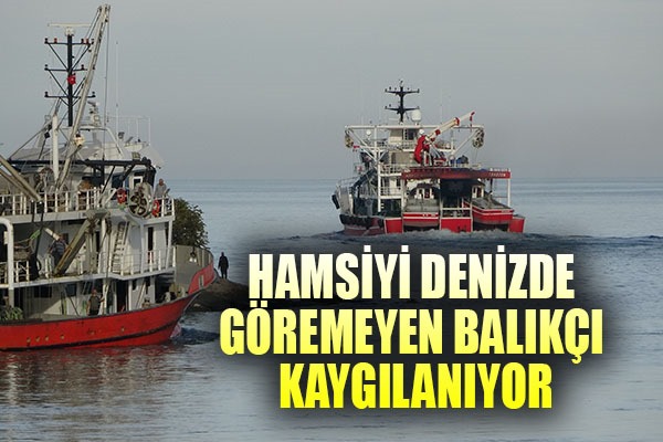 Hamsiyi denizde göremeyen balıkçı kaygılanıyor