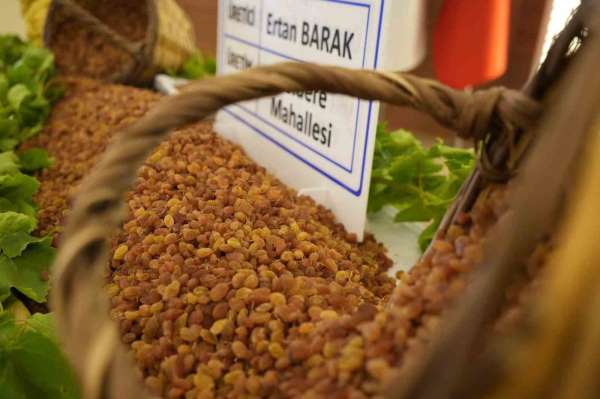 Manisa'nın 9 aylık tarım ihracatı 706,7 milyon dolara ulaştı