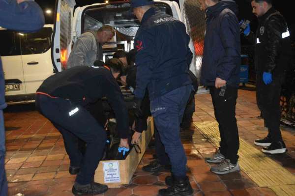 Ordu'da denize atlayan genç hayatını kaybetti