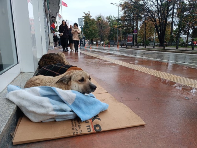 Samsun'da esnaftan yürek ısıtan hareket