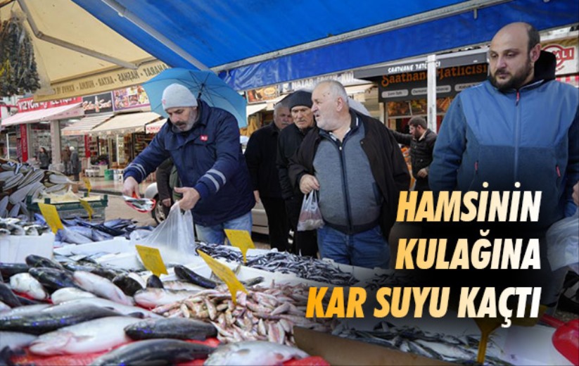 Samsun'da hamsinin kulağına kar suyu kaçtı