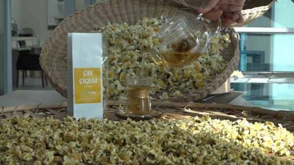 Çayın yeni ürünü 'Çay çiçeği çayı' 6 bin TL'den satılıyor