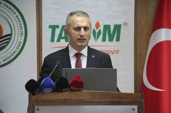 Ordu 16 bin 750 ton ile Türkiye'nin en fazla bal üretimini yapan il