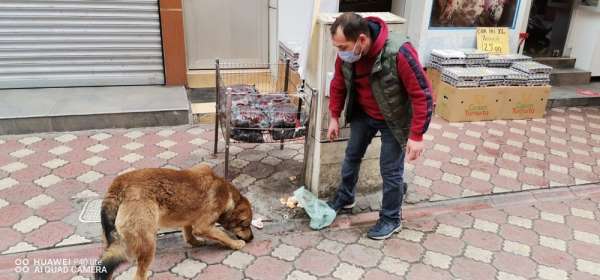 Çarşı esnafı sokak hayvanlarına sahip çıkıyor