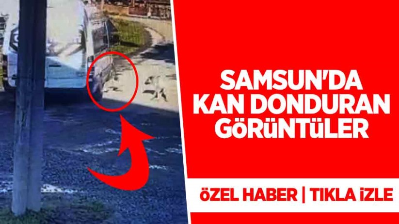 Samsun'da öğrenci servisi sokak köpeğini ezdi