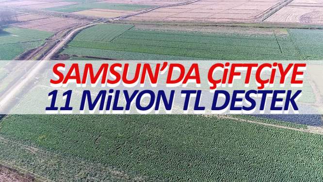 Samsun'da çiftçiye 11 milyon lira destek
