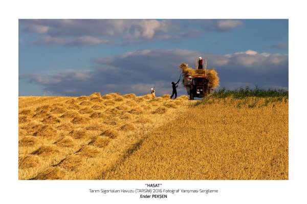 TARSİM'den 'Hasat Bayramı' mesajı 