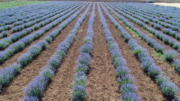 Konya'da küçük ölçekli sulama tesisleri ile tarım arazileri suya kavuşuyor