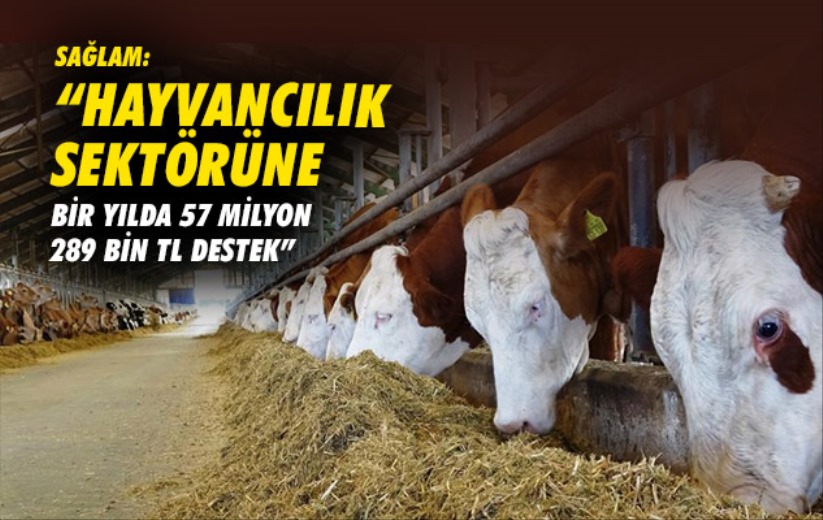 Sağlam: 'Hayvancılık sektörüne bir yılda 57 milyon 289 bin TL destek'