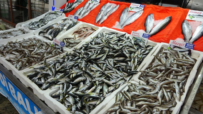 Karadeniz'de balık fiyatları yükselişe geçti