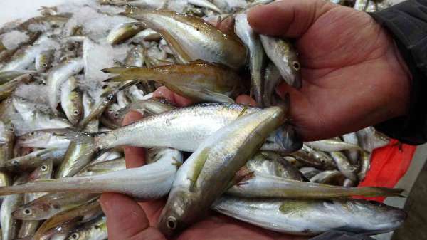 Kıyı balıkçıları, denizdeki olumsuz havadan etkileniyor