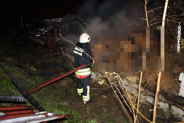Ordu'da ahır yangını: 27 büyükbaş hayvan telef oldu