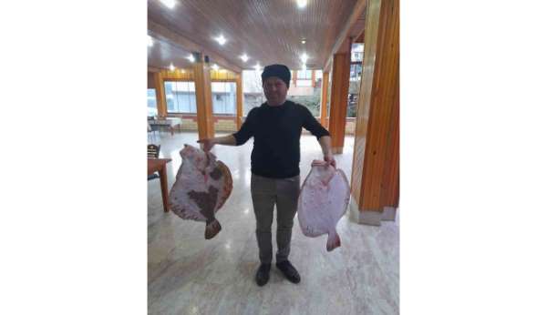 Türkeli'de 10 kilogramlık kalkan balığı yakalandı