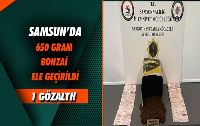 Samsun'da 650 gram bonzai ele geçirildi