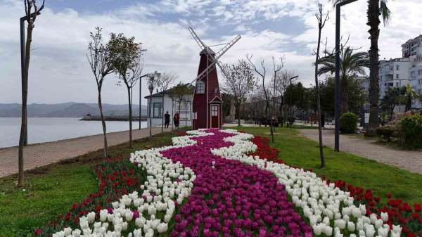 Ordu'da lale devri