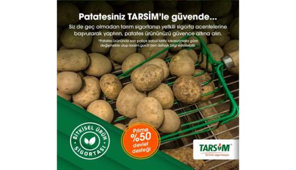 TARSİM: 'Patates ürününüz güvende'