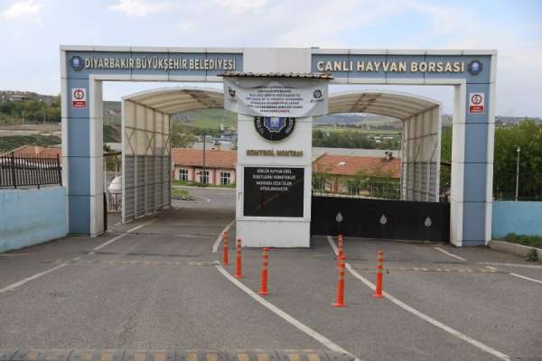 Şap nedeniyle geçici olarak kapanan Diyarbakır Canlı Hayvan Borsası yeniden açılıyor - Diyarbakır haber