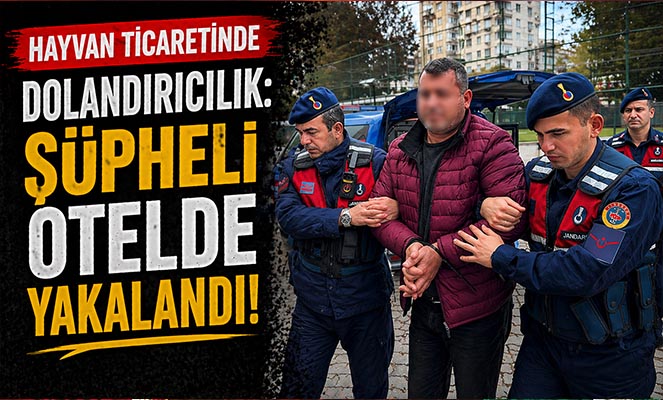 Hayvan ticaretinde dolandırıcılık: Şüpheli otelde yakalandı