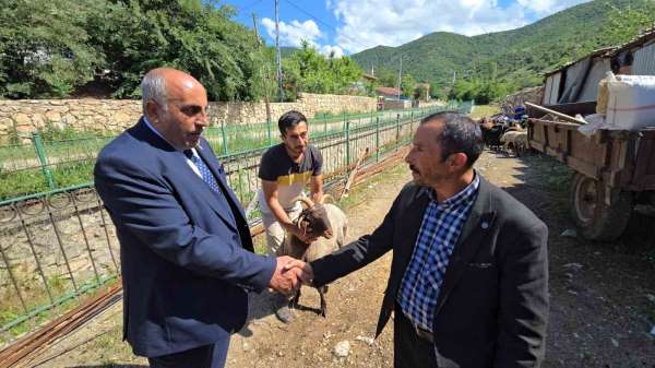 Ahırın lideri olan 4 boynuzlu koç, son başbakan Binali Yıldırım'a hediye edilecek