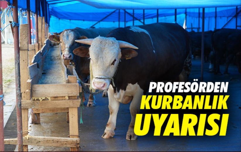 Profesörden kurbanlık uyarısı