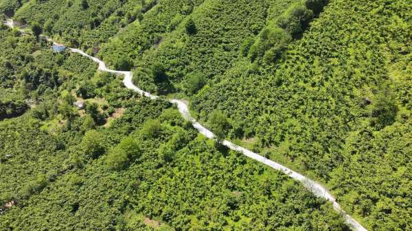 Terme'de beton yol çalışması
