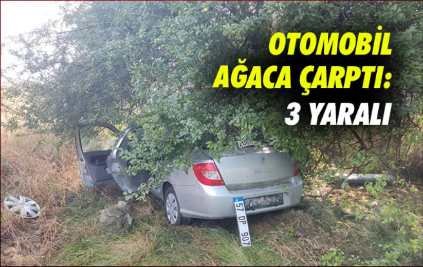 Samsun'da otomobil ağaca çarptı: 3 yaralı