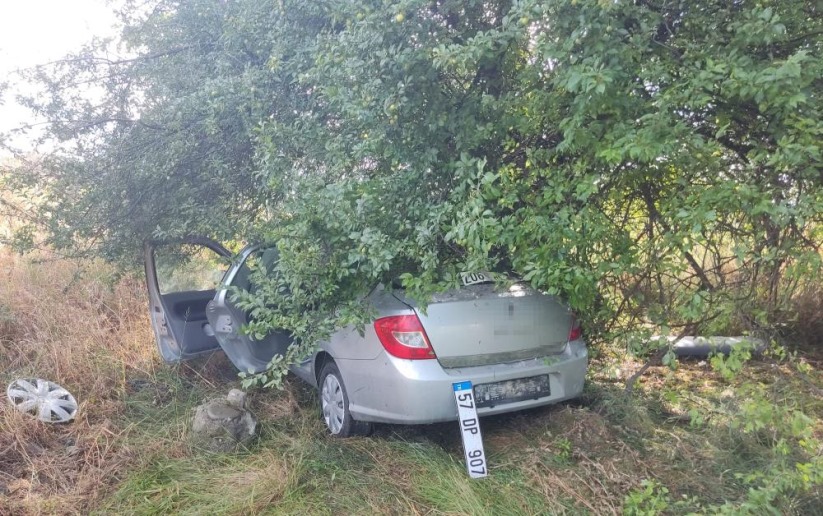 Samsun'da otomobil ağaca çarptı: 3 yaralı