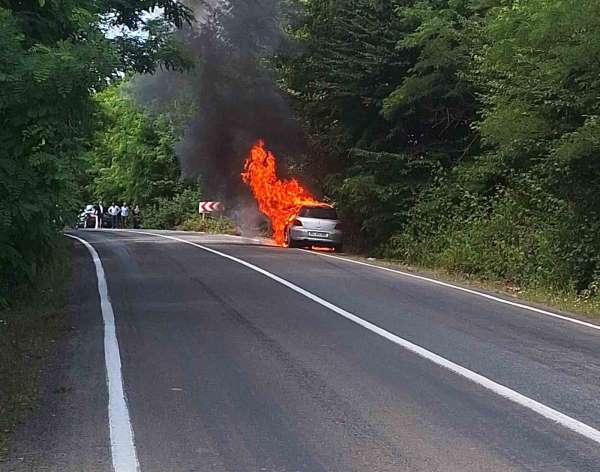 Ordu'da otomobil yangını