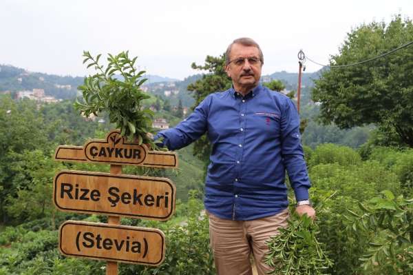 ÇAYKUR Eski Genel Müdürü İmdat Sütlüoğlu iddialara cevap verdi 