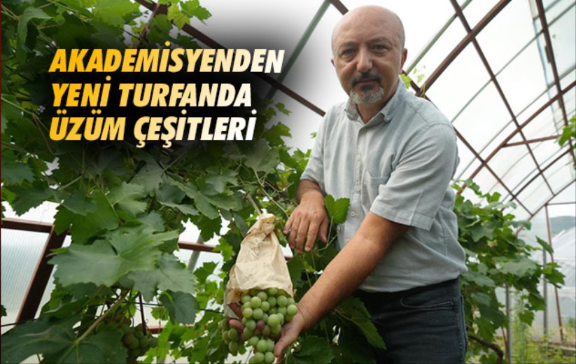 Samsun'da akademisyenden yeni turfanda üzüm çeşitleri