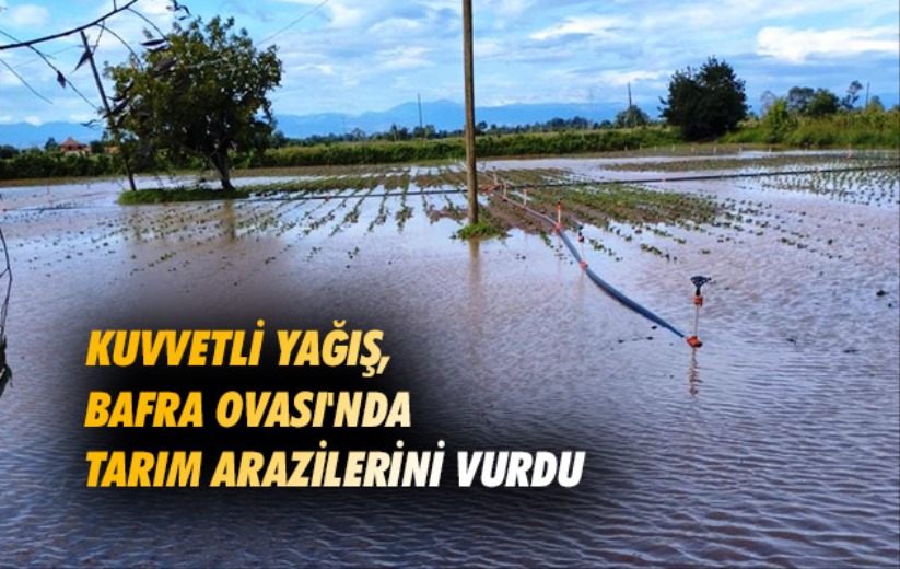 Samsun'da kuvvetli yağış, Bafra Ovası'ndaki tarım arazilerini vurdu