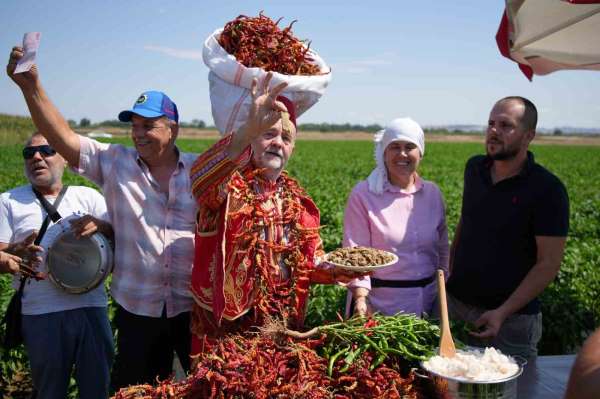 Edirne'de kavurucu sıcaklar Karaağaç biberinde hasadı geciktirdi