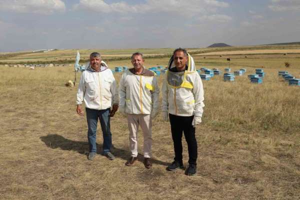 Kars'ta 2025 yılında bin 800 ton bal rekoltesi beklentisi