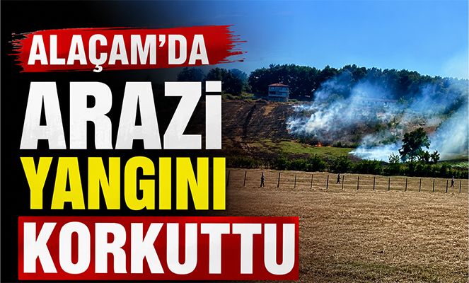 Alaçam'da arazi yangını korkuttu