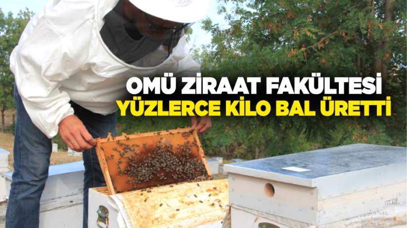  OMÜ Ziraat Fakültesi yüzlerce kilo bal üretti