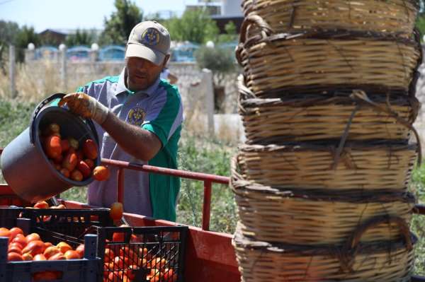 Buca'da bin 255 aileye 15 ton ürün desteği 