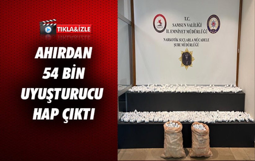 Ahırdaki arı kovanlarının arkasına gizlenen çuvallardan 54 bine yakın uyuşturucu hap çıktı