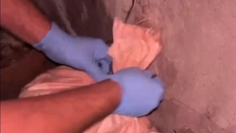 Ahırdaki arı kovanlarının arkasına gizlenen çuvallardan 54 bine yakın uyuşturucu hap çıktı