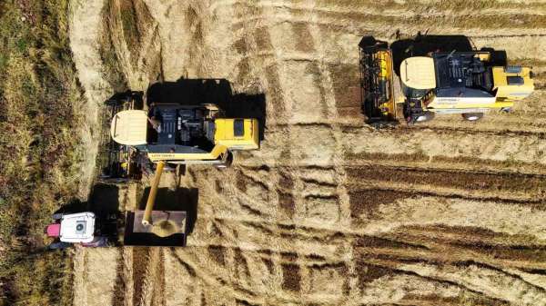 Bin dönümde yaklaşık 6 milyon lira maliyeti bulan tescilli Karacadağ pirincinde hasat zamanı