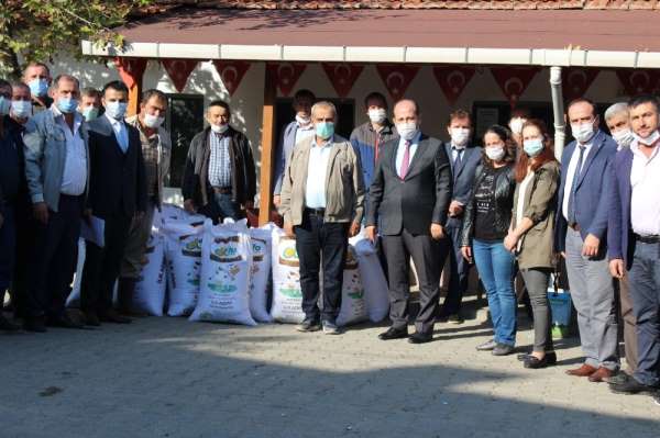 Çiftçilere İtalyan çim tohumu dağıtıldı 