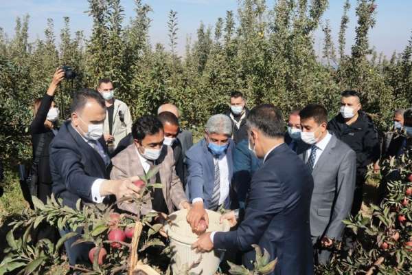 DAP ve DAKA'dan Ahlat'taki elma yetiştiricilerine destek 