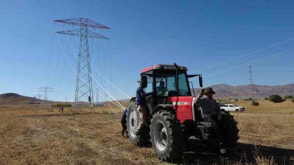 Van'da 31 kilometrelik enerji hattı tamamlandı: Çalışmalarda yabani kuşlar gözetildi